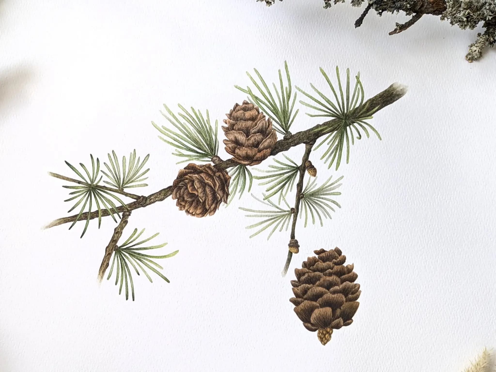 Изображение работы