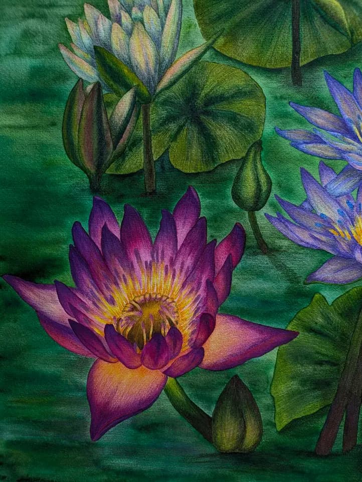 Изображение работы