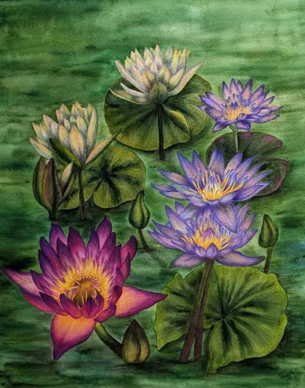 Изображение работы