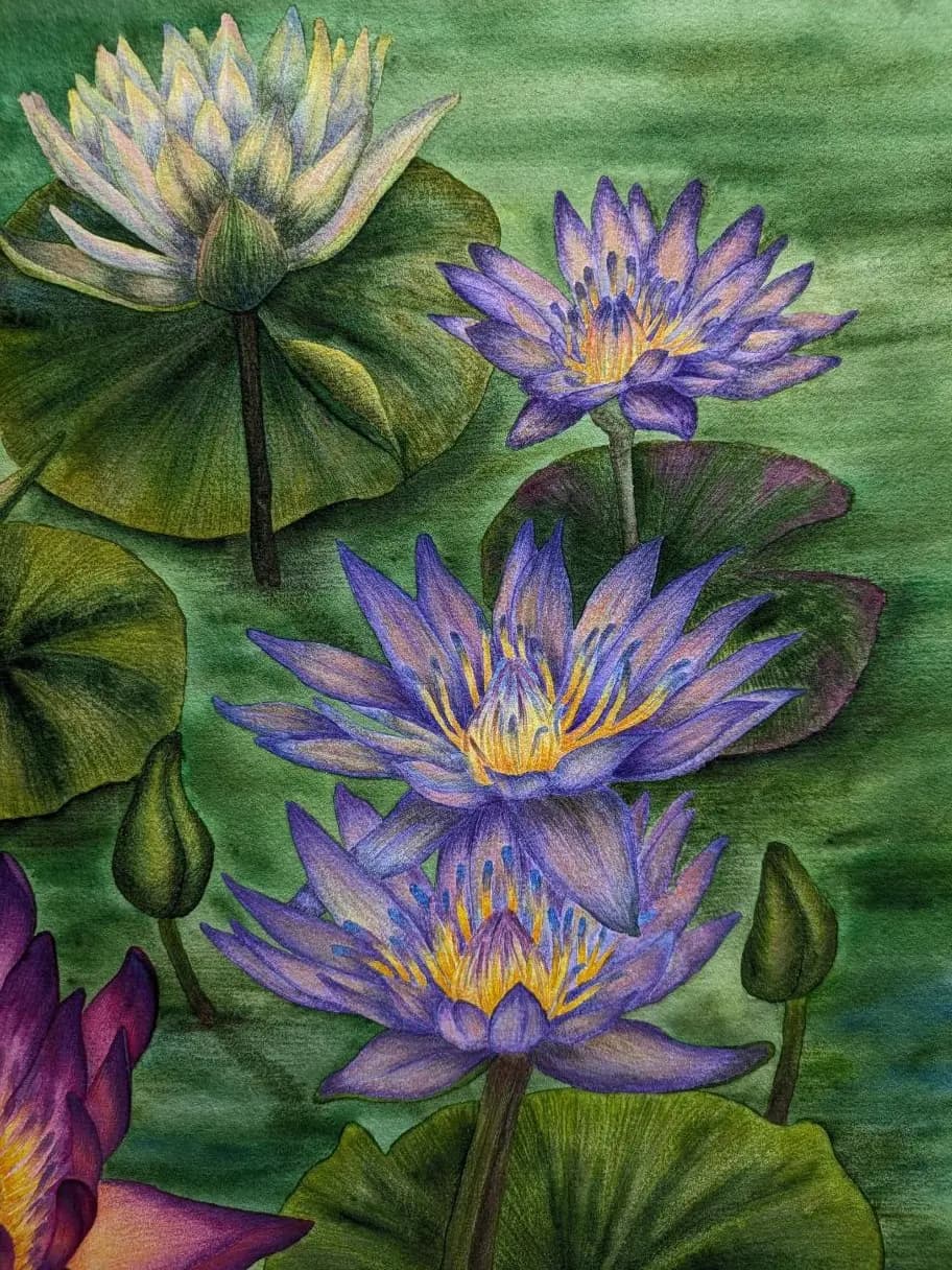 Изображение работы