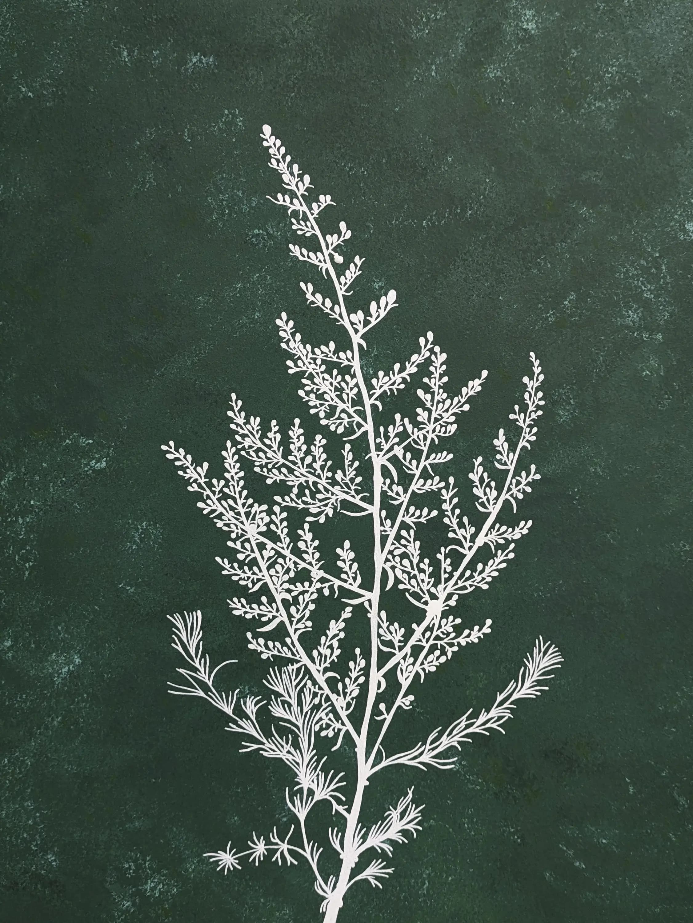 Изображение работы