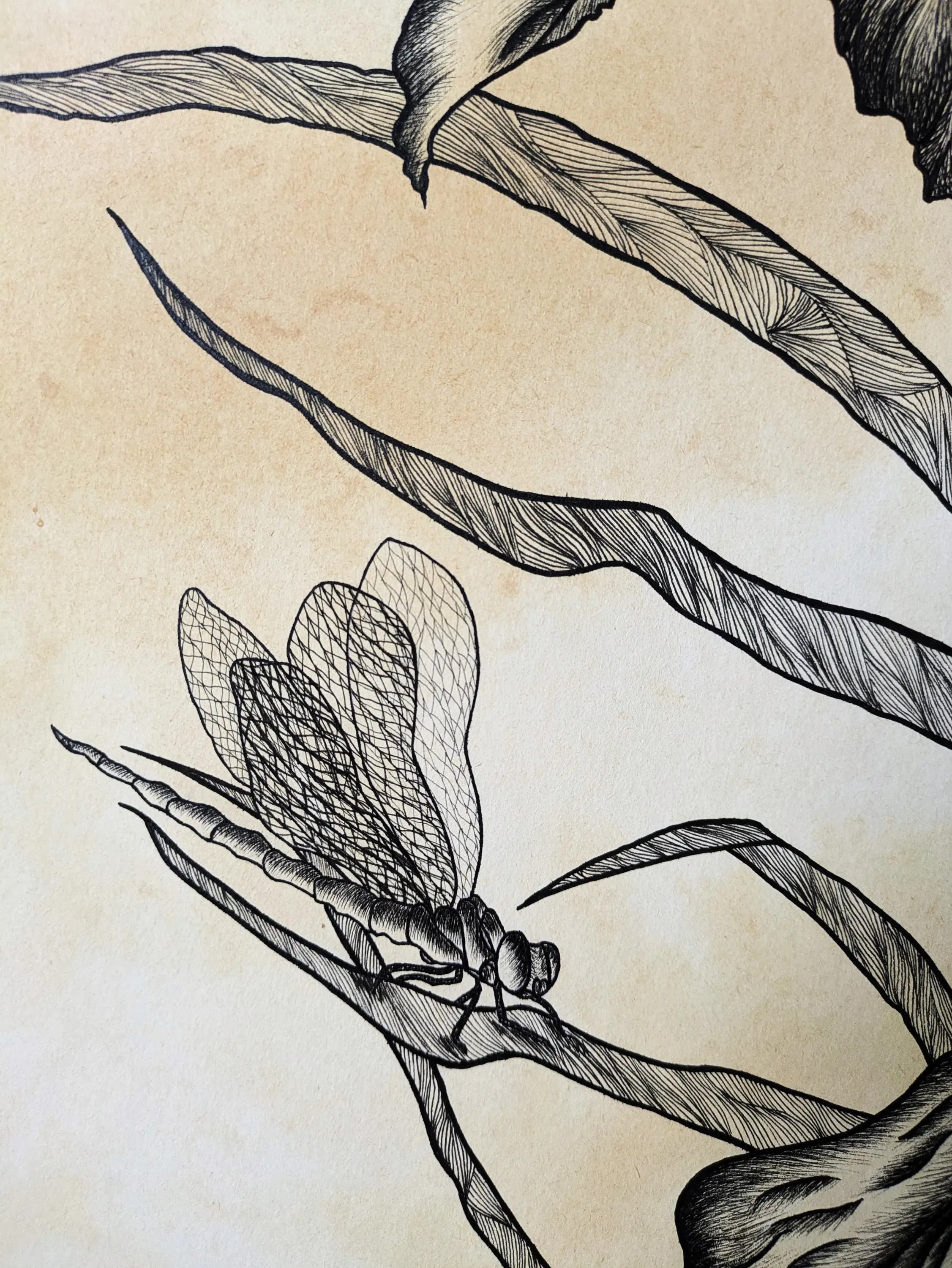 Изображение работы