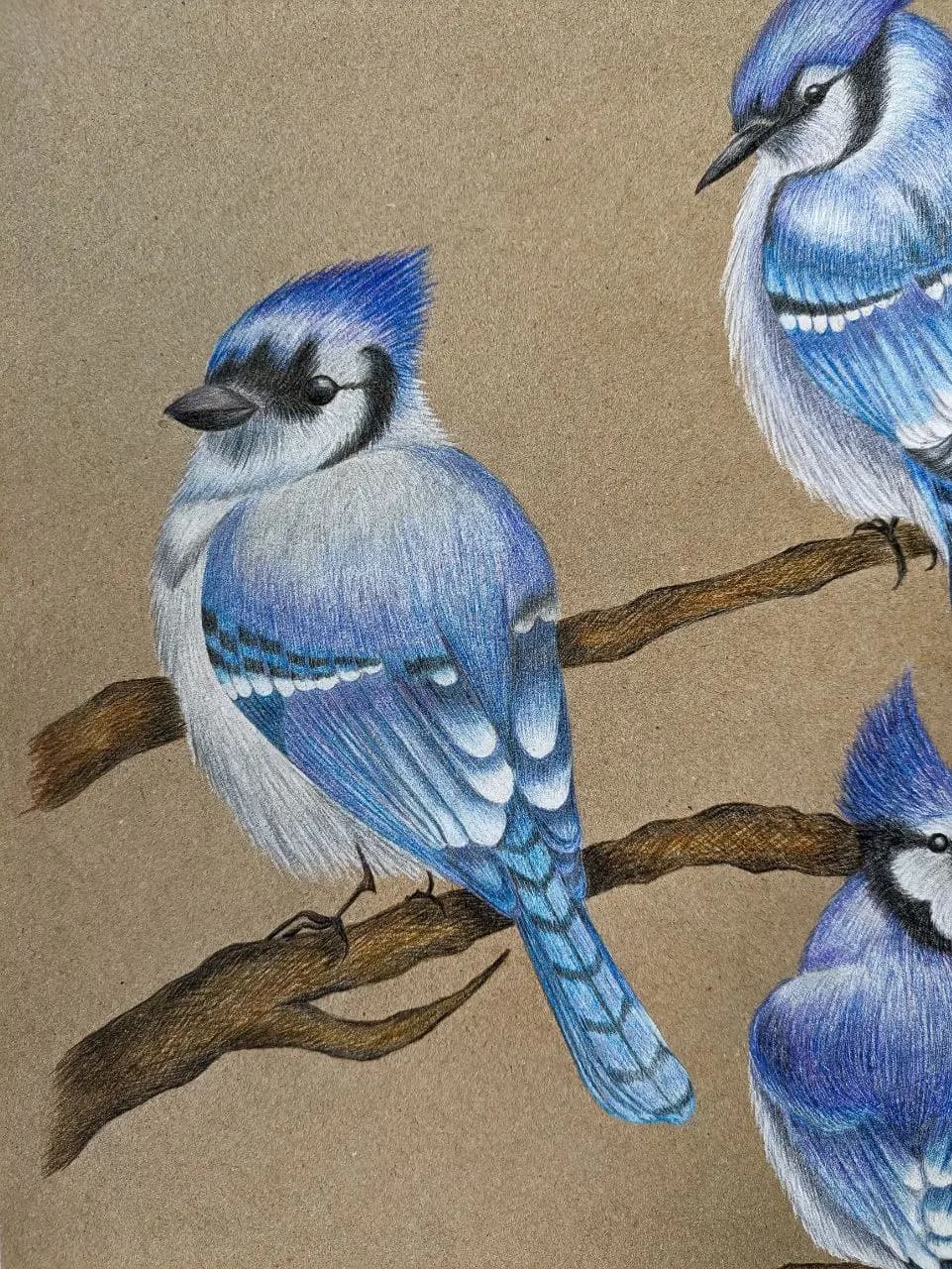 Изображение работы