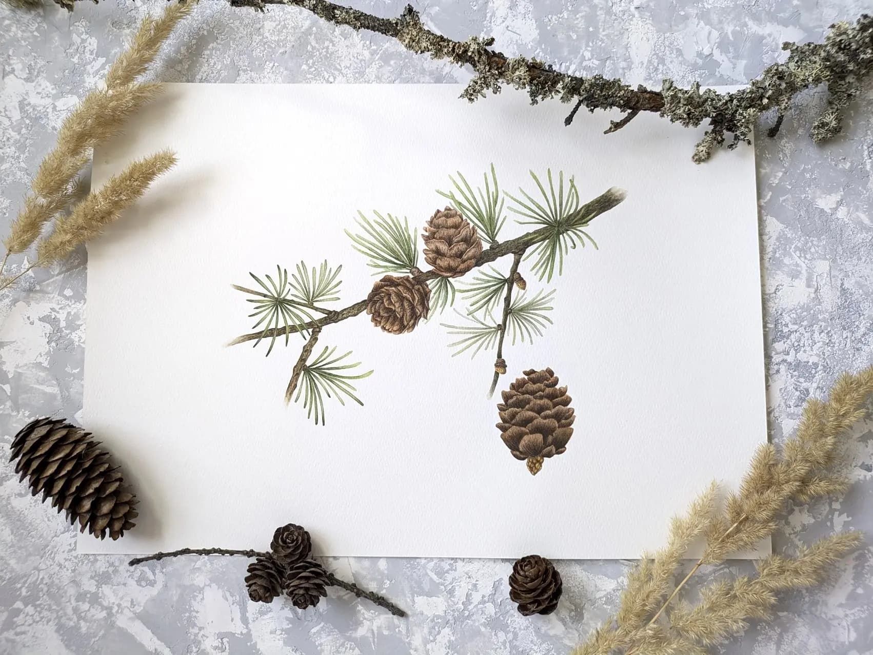 Изображение работы