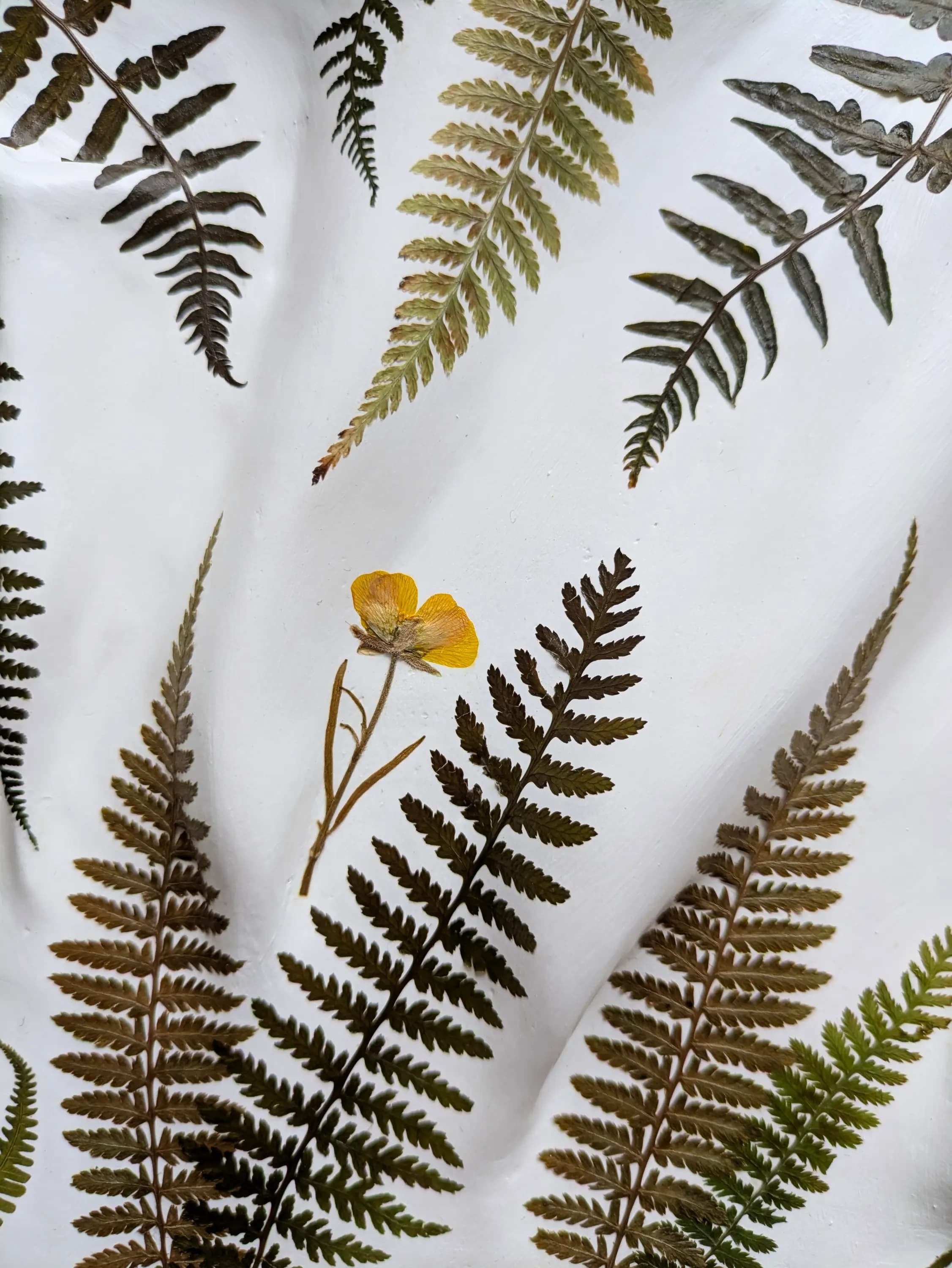 Изображение работы