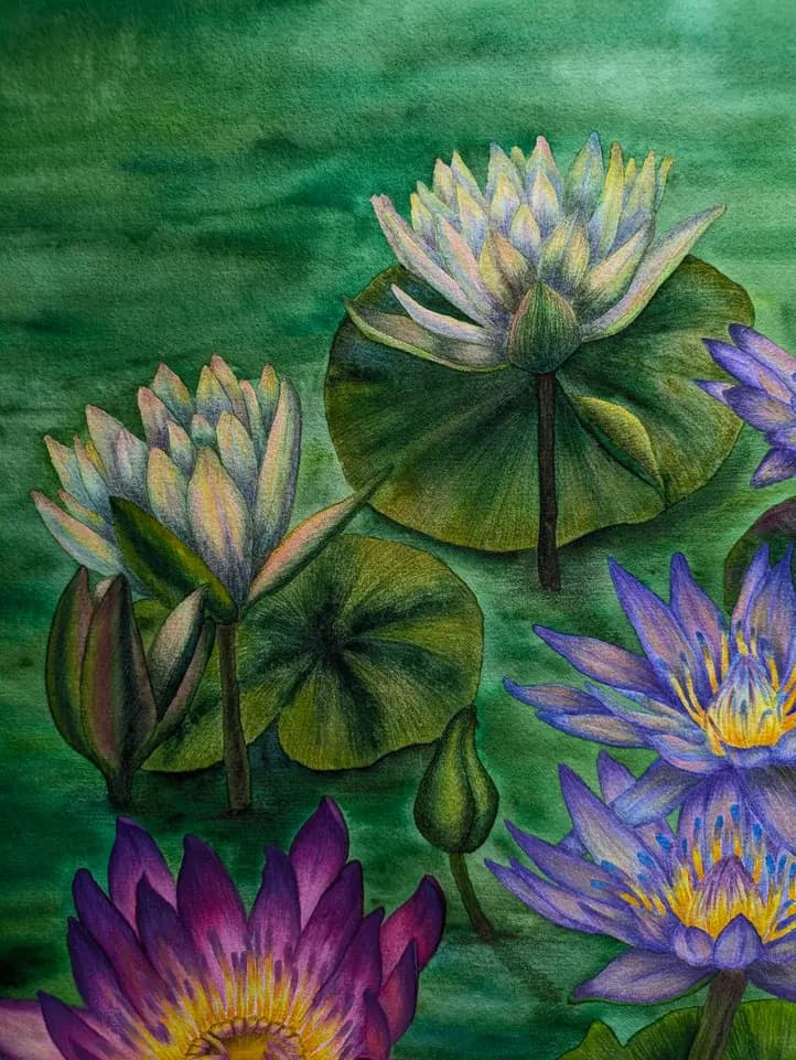 Изображение работы