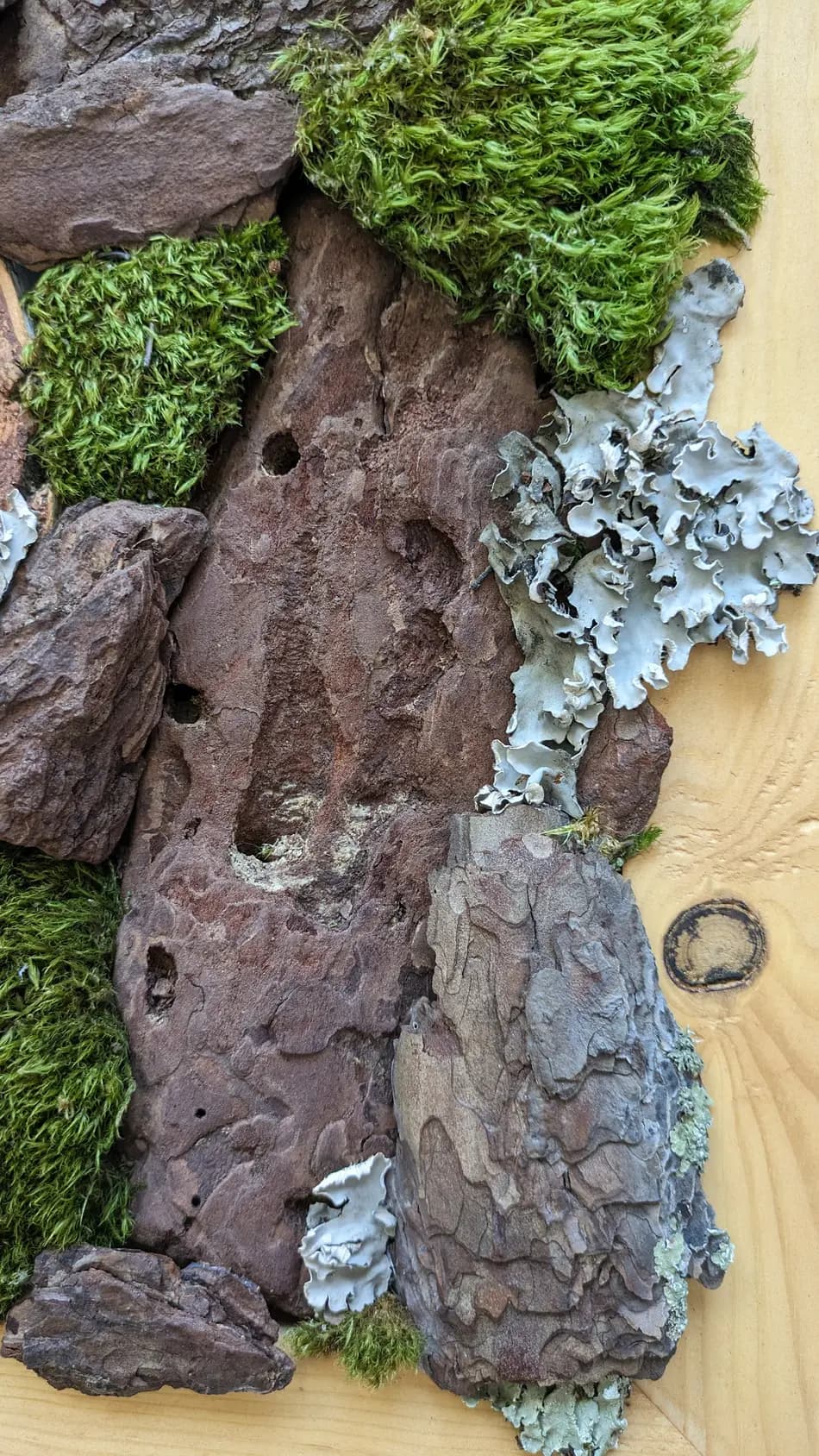 Изображение работы