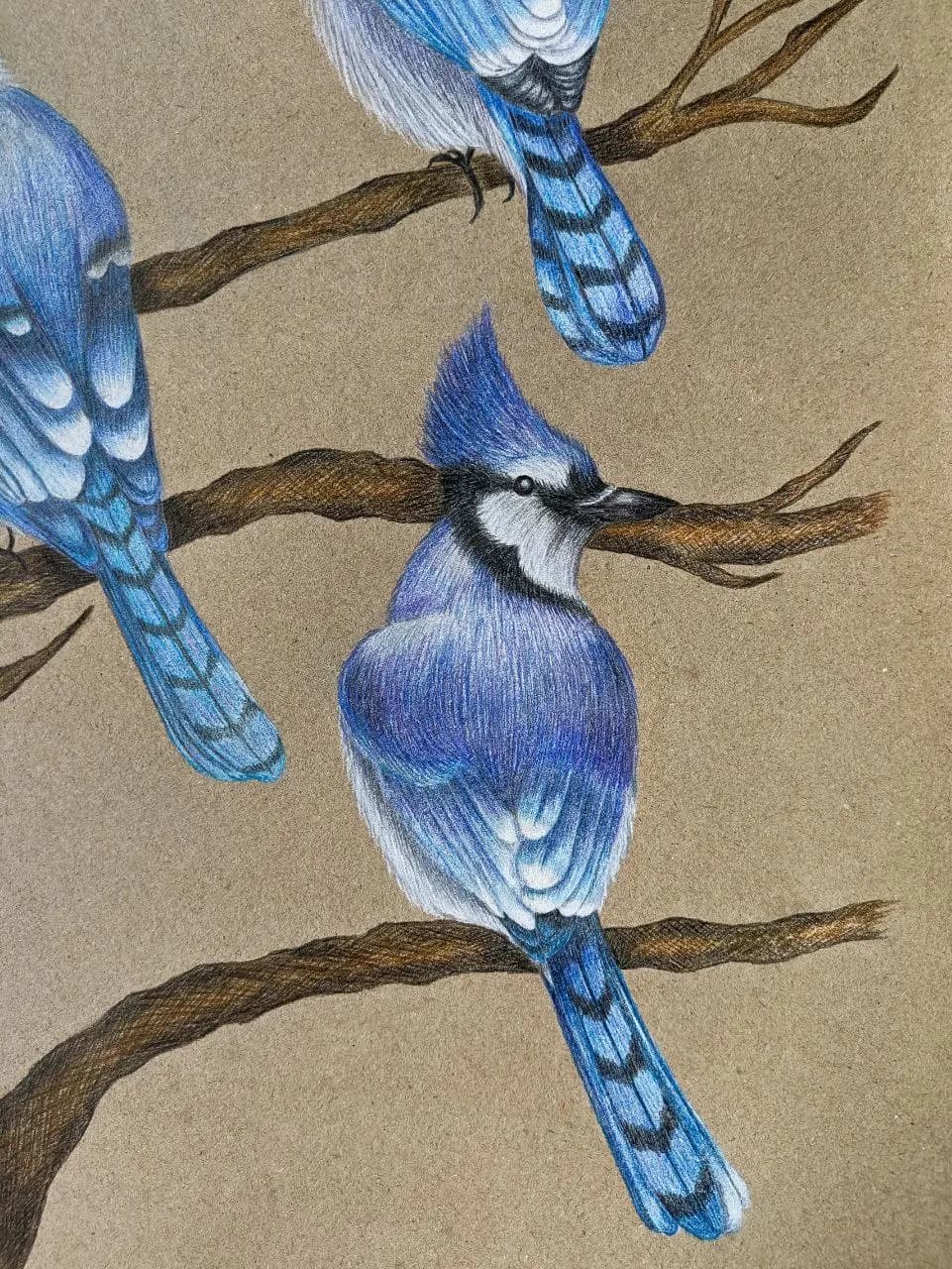 Изображение работы