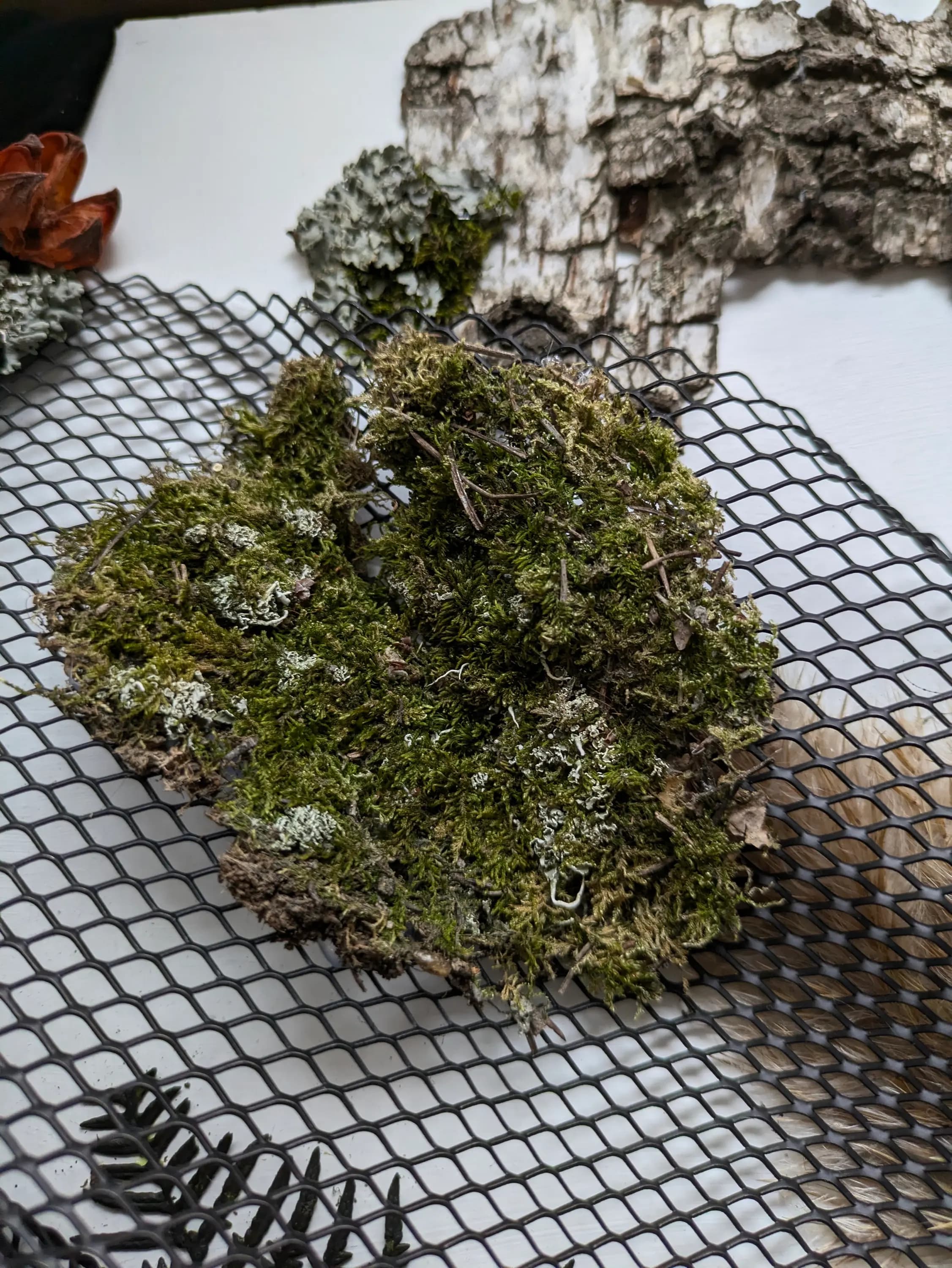 Изображение работы