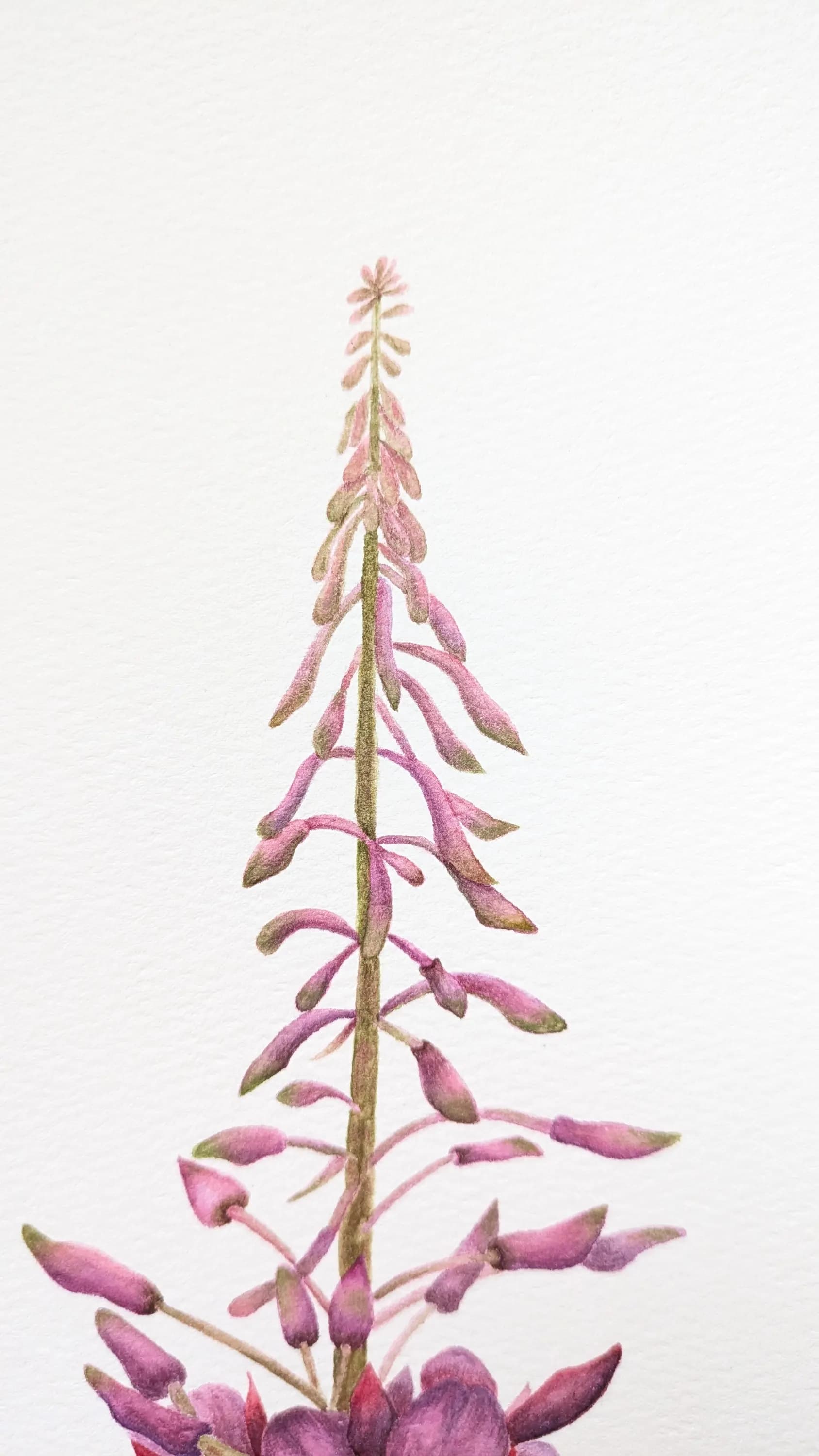 Изображение работы