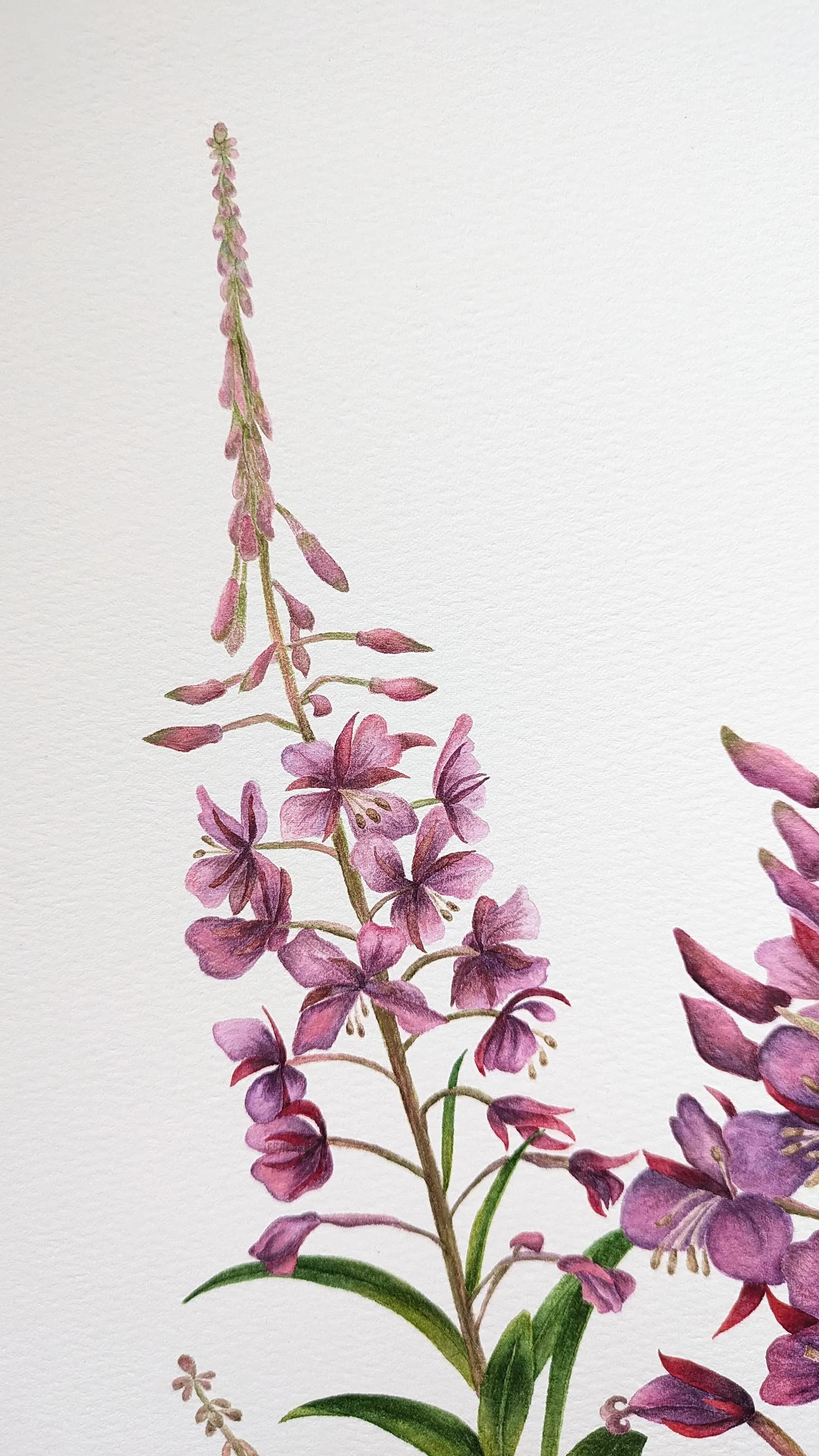 Изображение работы