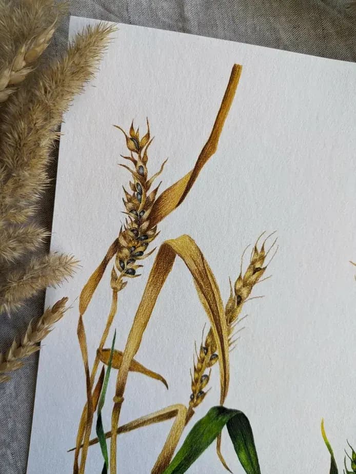 Изображение работы