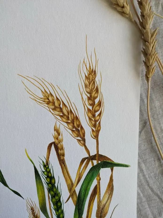 Изображение работы