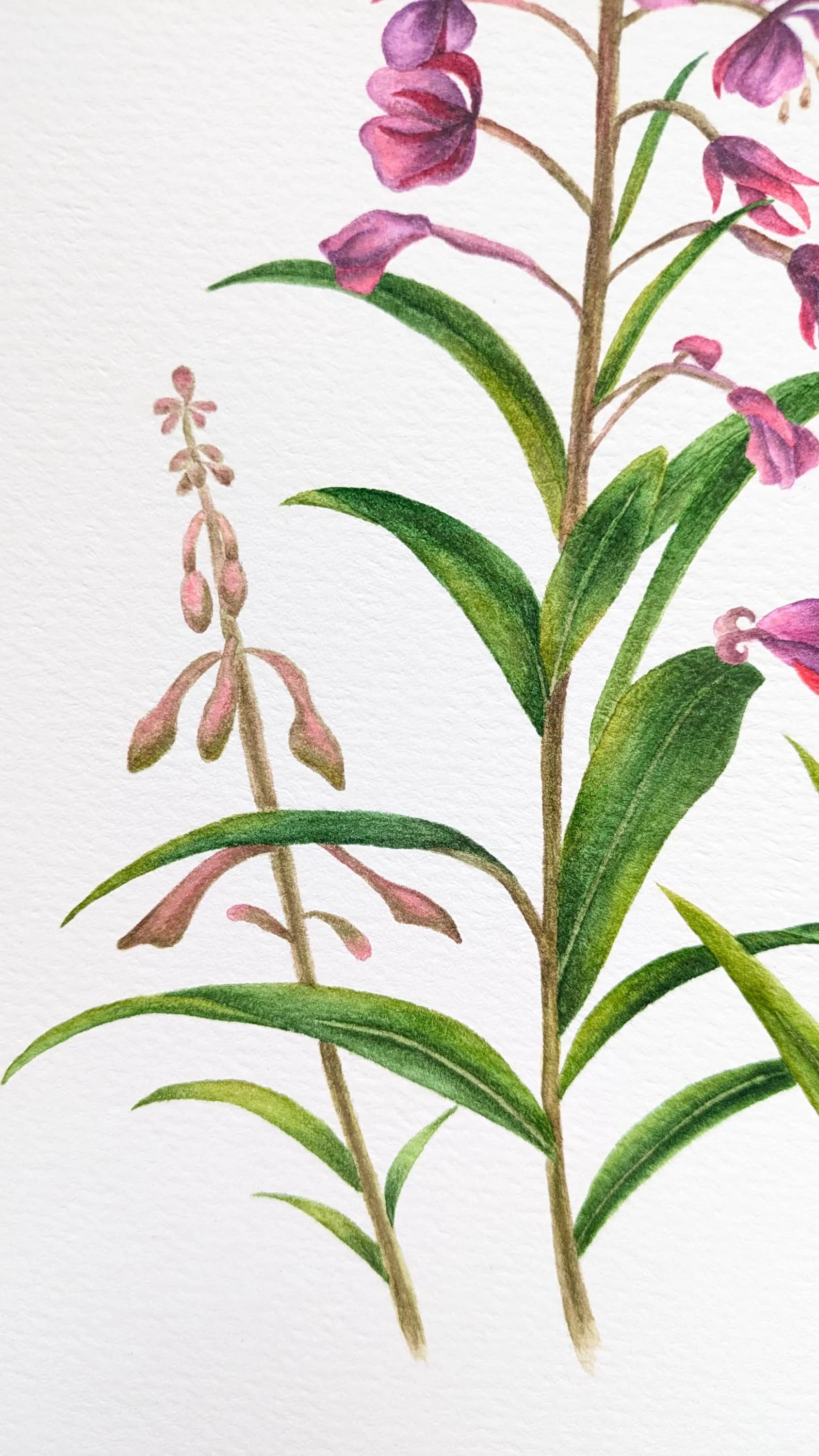 Изображение работы